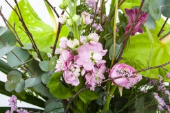 Boeket Anthurium Middel -Tuin & Buiten Korting Winkel boeket anthurium boeketten 3 2