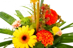 Boeket Beatrix Groot -Tuin & Buiten Korting Winkel boeket beatrix boeketten 4 3