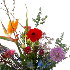 Boeket Deluxe Liefs Mij Groot 8 Boeket Deluxe Liefs Mij Groot -Tuin & Buiten Korting Winkel boeket deluxe liefs mij boeketten 2