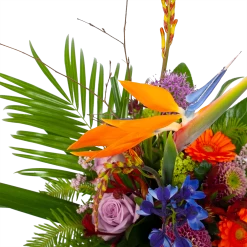 Boeket Deluxe Special Voor Jou Klein -Tuin & Buiten Korting Winkel boeket deluxe special voor jou boeketten 3 1