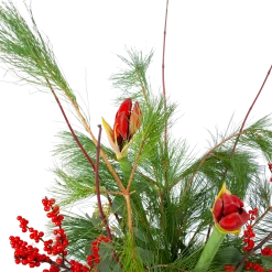 Boeket Deluxe Winter Groot -Tuin & Buiten Korting Winkel boeket deluxe winter boeketten 3 1 1