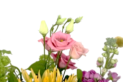 Boeket Eline Groot -Tuin & Buiten Korting Winkel boeket eline boeketten 4 1