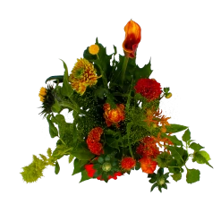 Boeket Herfst Uit Het Veld Middel 9 Boeket Herfst Uit Het Veld Middel -Tuin & Buiten Korting Winkel boeket herst uit het veld middel boeketten 2 1