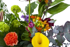 Boeket Judith Groot -Tuin & Buiten Korting Winkel boeket judith boeketten 3 1