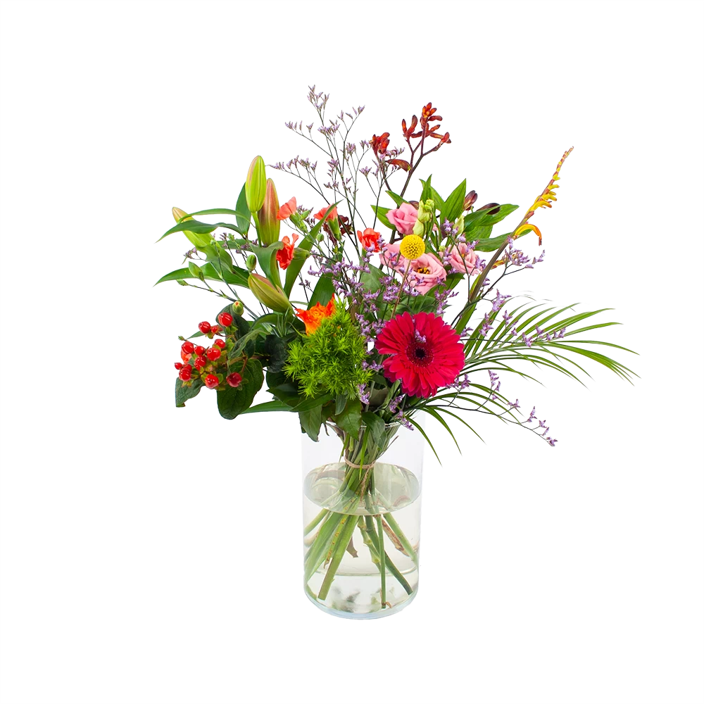 Boeket Kleurrijk Geplukt Groot 3 Boeket Kleurrijk Geplukt Groot