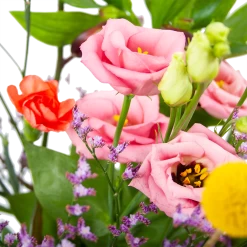 Boeket Kleurrijk Geplukt Klein -Tuin & Buiten Korting Winkel boeket kleurrijk geplukt boeketten 3