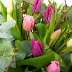 Boeket Kleurrijke Tulp Klein -Tuin & Buiten Korting Winkel boeket kleurrijke tulp boeketten 3 1