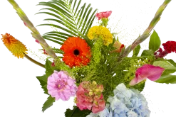 Boeket Lach Klein 10 Boeket Lach Klein -Tuin & Buiten Korting Winkel boeket lach boeketten 3 1 1