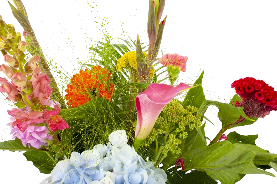 Boeket Lach Klein 6 Boeket Lach Klein - Afbeelding 4