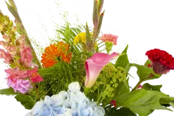 Boeket Lach Middel -Tuin & Buiten Korting Winkel boeket lach boeketten 4 1