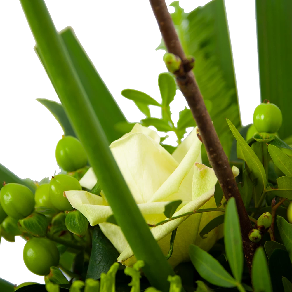 Boeket Liefdevolle Winter Groot 6 Boeket Liefdevolle Winter Groot - Afbeelding 4