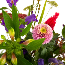 Boeket Paarse Passie Groot -Tuin & Buiten Korting Winkel boeket paarse passie groot boeketten 4