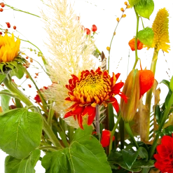 Boeket Pluim Van Het Najaar Groot -Tuin & Buiten Korting Winkel boeket pluim van het najaar groot boeketten 4