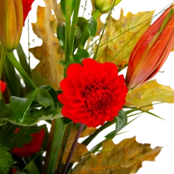 Boeket Pluim Van Het Najaar Klein -Tuin & Buiten Korting Winkel boeket pluim van het najaar klein boeketten 3