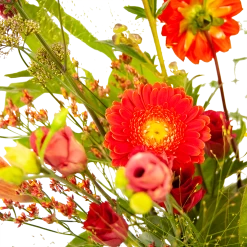 Boeket Plukgeluk Groot -Tuin & Buiten Korting Winkel boeket plukgeluk groot boeketten 3