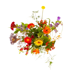 Boeket Plukgeluk Klein -Tuin & Buiten Korting Winkel boeket plukgeluk klein boeketten 2