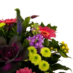 Boeket Purple Middel -Tuin & Buiten Korting Winkel boeket purple middel boeketten 4 1