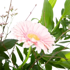 Boeket Roze Verrassing Groot 8 Boeket Roze Verrassing Groot -Tuin & Buiten Korting Winkel boeket roze verrassing boeketten 2 2