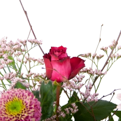 Boeket Roze Verrassing Groot 9 Boeket Roze Verrassing Groot -Tuin & Buiten Korting Winkel boeket roze verrassing boeketten 3 2