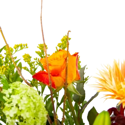 Boeket Seizoensgebonden Middel 8 Boeket Seizoensgebonden Middel -Tuin & Buiten Korting Winkel boeket seizoensgebonden boeketten 2