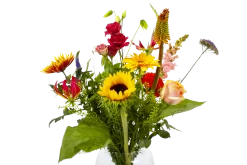 Boeket Vlinder Middel -Tuin & Buiten Korting Winkel boeket vlinder boeketten 4 3 2