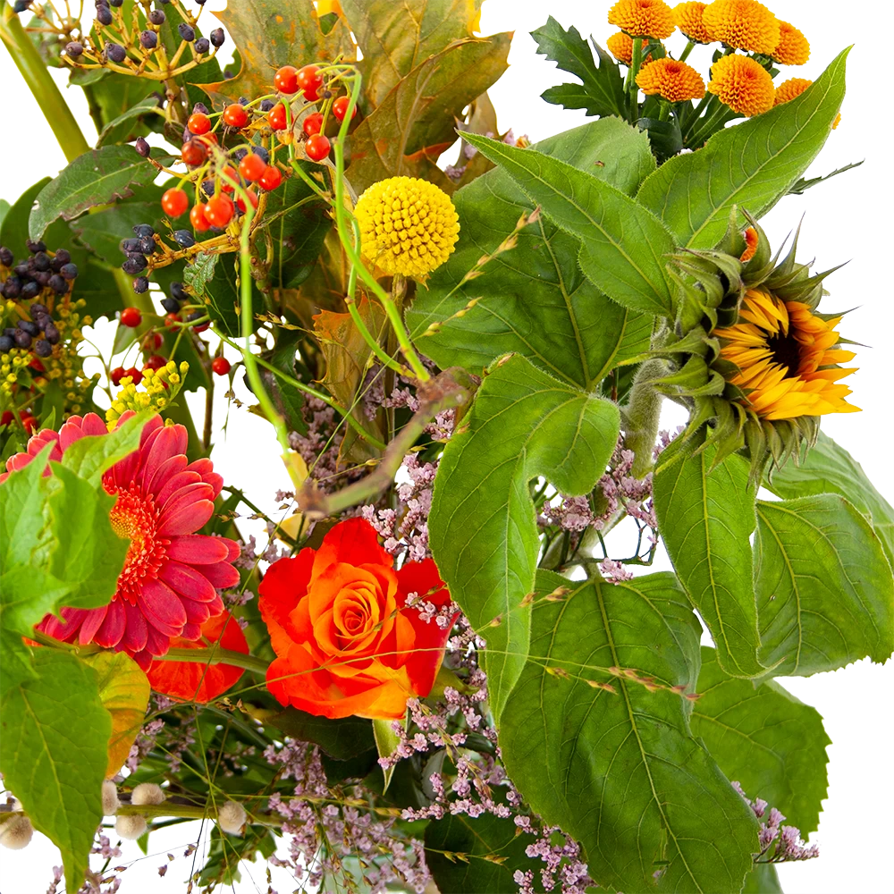 Boeket Vrolijk Groot 6 Boeket Vrolijk Groot - Afbeelding 4