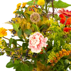 Boeket Vrolijk Klein 10 Boeket Vrolijk Klein -Tuin & Buiten Korting Winkel boeket vrolijk klein boeketten 3