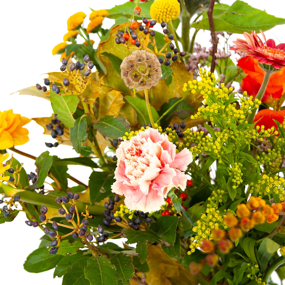 Boeket Vrolijk Klein 5 Boeket Vrolijk Klein - Afbeelding 3