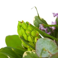 Boeket Vrolijk Seizoen Middel 9 Boeket Vrolijk Seizoen Middel -Tuin & Buiten Korting Winkel boeket vrolijk seizoen boeketten 3