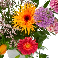 Boeket Vrolijke Verrassing Middel 8 Boeket Vrolijke Verrassing Middel -Tuin & Buiten Korting Winkel boeket vrolijke verrassing boeketten 2 2