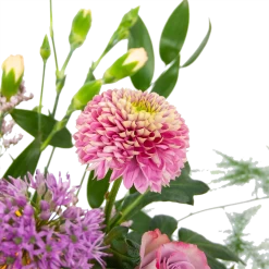 Boeket Vrolijke Verrassing Klein 9 Boeket Vrolijke Verrassing Klein -Tuin & Buiten Korting Winkel boeket vrolijke verrassing boeketten 3