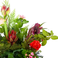 Boeket Winters Middel -Tuin & Buiten Korting Winkel boeket winters boeketten 2 1 1