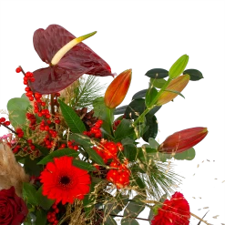 Boeket Winterse Pluim Groot -Tuin & Buiten Korting Winkel boeket winterse pluim boeketten 3 1