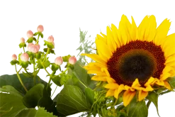 Boeket Zonnestraal Groot -Tuin & Buiten Korting Winkel boeket zonnestraal boeketten 4 3 1