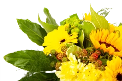 Boeket Zonnetje Groot -Tuin & Buiten Korting Winkel boeket zonnetje boeketten 4 1 1