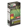 DCM Graszaad Ombrau00ae Plus - 0,6kg - Graszaad -Tuin & Buiten Korting Winkel dcm graszaad ombra plus 0 6kg graszaad 1 14