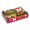 Flower Crate Pinocchio - 50st - Bloembollen - Baltus -Tuin & Buiten Korting Winkel flower crate pinocchio 50st bloembollen baltus 1