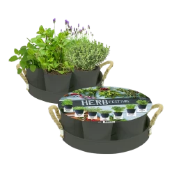 Herb Festival - 7 Potjes Kruiden - Grijs - Kruidenzaden - Baltus Zaden