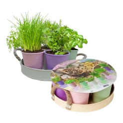 Herb Festival - 7 Potjes Kruiden - Pastel - Kruidenzaden - Baltus Zaden