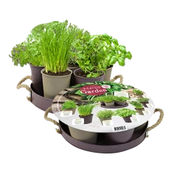 Herb Festival - 7 Potjes Kruiden - Taupe - Kruidenzaden - Baltus Zaden