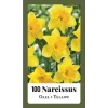 NarcissusNarcissus Geel - 100st - Bloembollen - JUB Holland -Tuin & Buiten Korting Winkel narcissusnarcissus geel 100st bloembollen jub holland 1 1