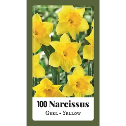 NarcissusNarcissus Geel - 100st - Bloembollen - JUB Holland