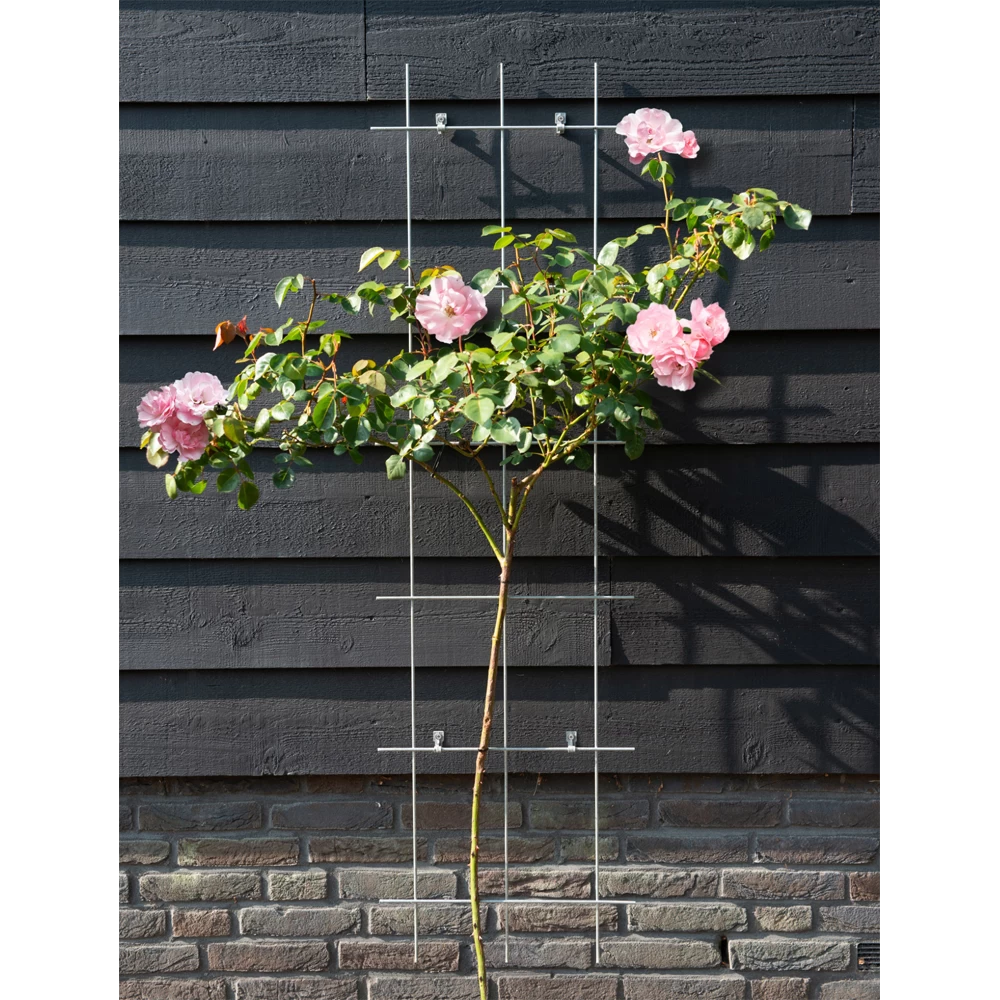 Nature - Metalen Klimrek Geplastificeerd Grijs H145x42,5cm 4 Nature - Metalen Klimrek Geplastificeerd Grijs H145x42,5cm - Afbeelding 2