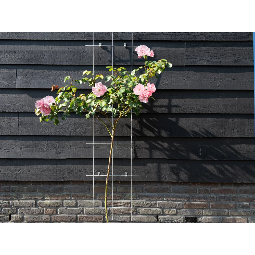 Nature - Metalen Klimrek Geplastificeerd Grijs H145x42,5cm 5 Nature - Metalen Klimrek Geplastificeerd Grijs H145x42,5cm - Afbeelding 3