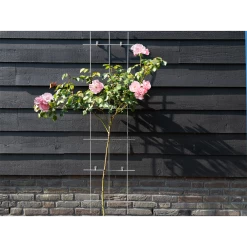 Nature - Metalen Klimrek Geplastificeerd Groen H145x42,5cm -Tuin & Buiten Korting Winkel nature metalen klimrek geplastificeerd groen h145x42 5cm 3 2