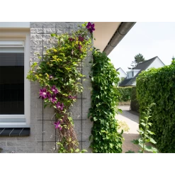 Nature - Metalen Klimrek Geplastificeerd Groen H145x57cm -Tuin & Buiten Korting Winkel nature metalen klimrek geplastificeerd groen h145x57cm 3 2