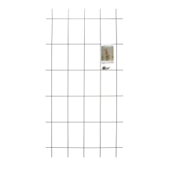 Nature - Metalen Klimrek Geplastificeerd Groen H145x72,5cm -Tuin & Buiten Korting Winkel nature metalen klimrek geplastificeerd groen h145x72 5cm 4 2