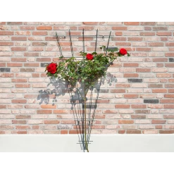 Nature - Metalen Klimrekv Geplastificeerd Groen H145x5/75cm -Tuin & Buiten Korting Winkel nature metalen klimrekv geplastificeerd groen h145x5 75cm 3 2