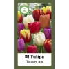 Tulipa Triumph Mix - 80st - Bloembollen - JUB Holland -Tuin & Buiten Korting Winkel tulipa triumph mix 80st bloembollen jub holland 1 1