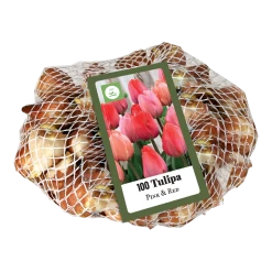 Voorkant -Tuin & Buiten Korting Winkel tulipa triumph roze rood 100st bloembollen jub holland 2 1